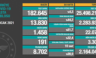 Türkiye'de koronavirüsten 191 kişi daha hayatını kaybetti