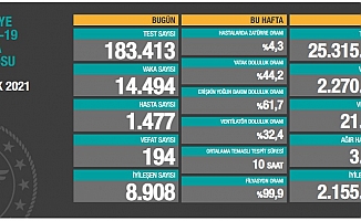 Türkiye'de koronavirüsten 194 kişi daha hayatını kaybetti