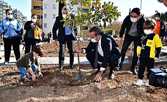 Park Çukurova’dan fidanlar vatandaştan