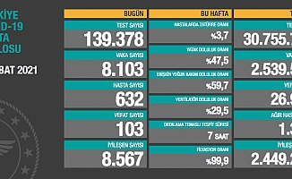 Türkiye'de koronavirüsten 103 kişi daha hayatını kaybetti