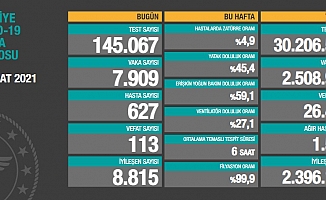 Türkiye'de koronavirüsten 113 kişi daha hayatını kaybetti