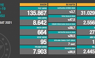 Türkiye'de koronavirüsten 95 kişi daha hayatını kaybetti