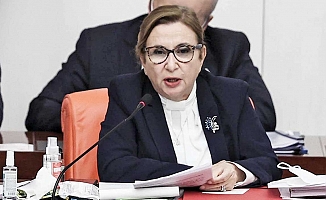 Bakanlığa dezenfektan satmıştı; eski bakan Pekcan’ın şirketine 1.4 milyon TL devlet desteği verilmiş