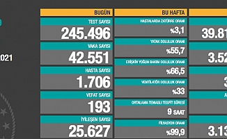 Türkiye'de koronavirüsten 193 kişi daha hayatını kaybetti