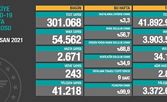 Türkiye'de koronavirüsten 243 kişi daha hayatını kaybetti