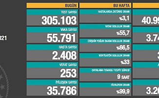 Türkiye'de koronavirüsten 253 kişi daha hayatını kaybetti