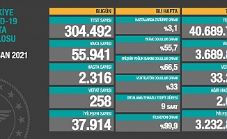 Türkiye'de koronavirüsten 258 kişi daha hayatını kaybetti