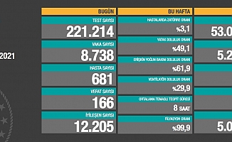 Koronavirüse 166 can daha