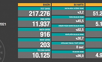 Koronavirüse 203 can daha