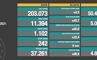 Koronavirüse 242 can daha