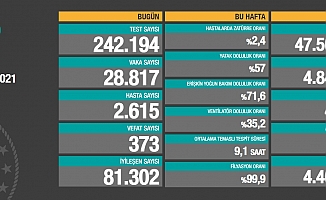 Koronavirüste vaka sayısı 28 bin 817 yeni vaka