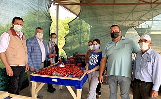 Milletvekili Sındır; “Kiraz üreticisini pandemi değil pazara müdahaleler bitiriyor”