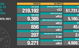 Türkiye'de koronavirüsten 207 kişi daha hayatını kaybetti