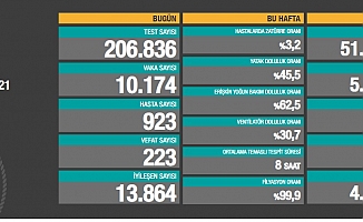 Türkiye'de koronavirüsten 223 kişi daha hayatını kaybetti