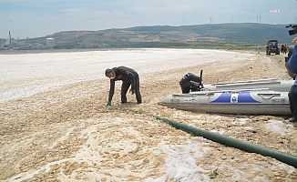 Balıkesir'de deniz salyası denetimi: 11 işletmeye ceza