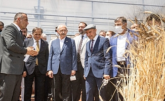 Kılıçdaroğlu üreticilerle buluştu: "Koskoca Tarım Bakanlığı'nın yapamadığını seçtiğiniz başkan yapıyor