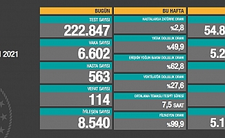 Koronavirüs nedeniyle 114 kişi daha yaşamını yitirdi