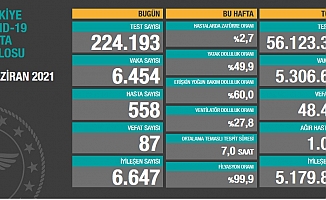 Türkiye'de koronavirüsten 87 kişi daha hayatını kaybetti