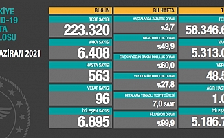 Türkiye'de koronavirüsten 96 kişi daha hayatını kaybetti