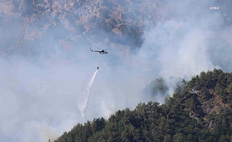 Adana Kozan'daki orman yangını kontrol altına alındı