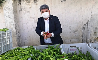 CHP'li Gökçen: "Gençlerin en büyük hayali Avrupa'da kurye olmak"