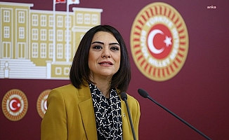 CHP'li Taşçıer, göçmen sorununun araştırılması için önerge verdi