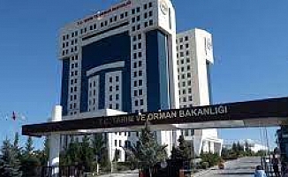 Çiftçilere borç yapılandırma için tanınan süre 31 Temmuz'da doluyor. Üreticilere 'icra takibi' mesajları gelmeye başladı