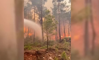 Eski Milli Parklar Genel Müdürü: Yangının çıkardığı enerji atom bombasına eşit, su atarak durdurma şansınız çok düşük