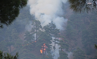 Kayseri Yahyalı'daki orman yangını kontrol altına alındı