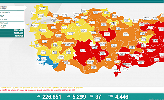 Türkiye'de koronavirüsten 37 kişi daha hayatını kaybetti