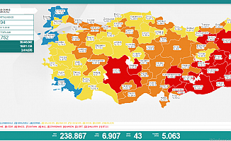 Türkiye'de koronavirüsten 43 kişi daha hayatını kaybetti