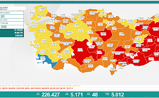 Türkiye'de koronavirüsten 48 kişi daha hayatını kaybetti