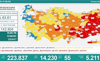 Türkiye'de koronavirüsten 55 kişi daha hayatını kaybetti