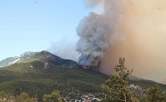 Antalya Büyükşehir Belediye Başkanı Böcek: "Gündoğmuş’a uçak gönderin, yanıyoruz"