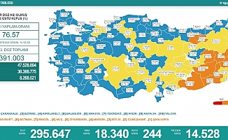 Koronavirüs nedeniyle 244 kişi daha yaşamını yitirdi