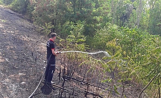 Lüleburgaz'da Çıkan Yangın Büyümeden Söndürüldü