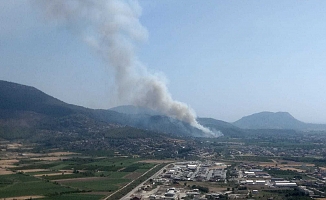 Muğla Dalaman'da orman yangını çıktı