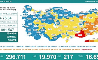 Türkiye'de koronavirüsten 217 kişi daha hayatını kaybetti