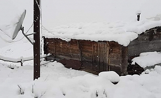 Doğu Karadeniz Dağları Beyaza Büründü