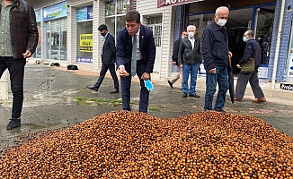 Fındığın fiyatı 23 TL'ye düştü: TMO'ya giden her 10 kişiden 7'sinin fındığı geri dönüyor