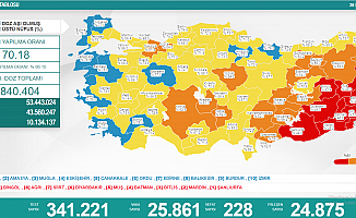 Koronavirüse 228 can daha