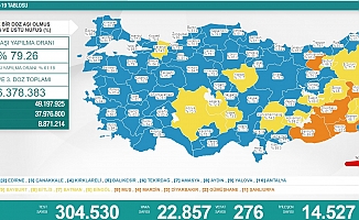 Koronavirüse 276 can daha