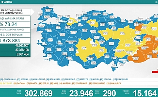 Koronavirüse 290 can daha