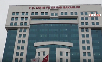 Sayıştay Raporu; Tarım ve Orman Bakanlığı, Kooperatiflere Verdiği Kredileri Takip Etmiyor