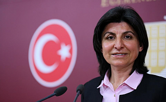 CHP’li Özdemir: "AB Raporu’nu yok saymak siyasi ve ekonomik kayıplar olarak karşımıza çıkmakta”