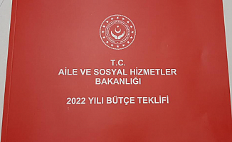 Aile Bakanlığı Bütçesi'nden "Erken Seçim" Çıktı!