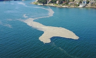 Marmara Denizi ve Adalar 'Özel Çevre Koruma Bölgesi' İlan Edildi