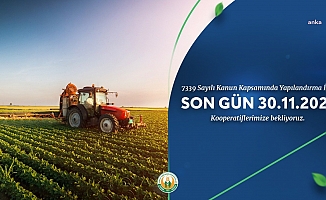 Tarım Kredi Kooperatifi'ne borçlu çiftçilerin erteleme süresi bugün bitti. Çiftçi Görel: "Ödeme şansım yok"
