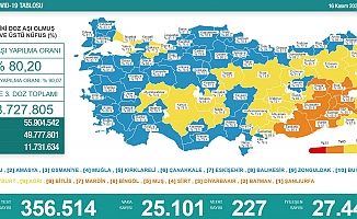 Türkiye'de koronavirüsten 227 kişi daha hayatını kaybetti