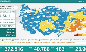 Türkiye'de koronavirüsten 163 kişi daha hayatını kaybetti